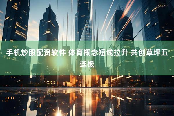 手机炒股配资软件 体育概念短线拉升 共创草坪五连板