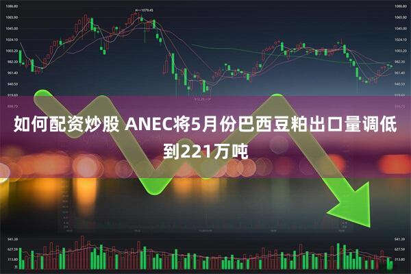 如何配资炒股 ANEC将5月份巴西豆粕出口量调低到221万吨